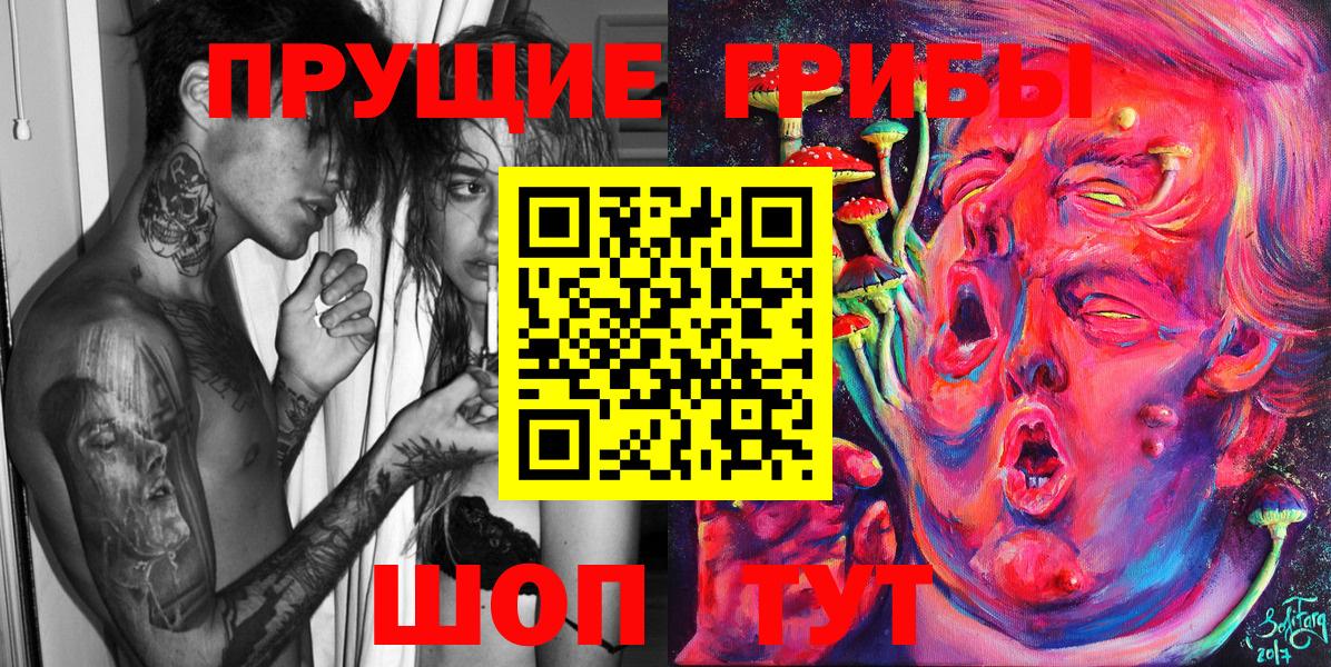 как найти наркотики  Вход с VPN  Грязи  Псилоцибиновые грибы Psilocybe 